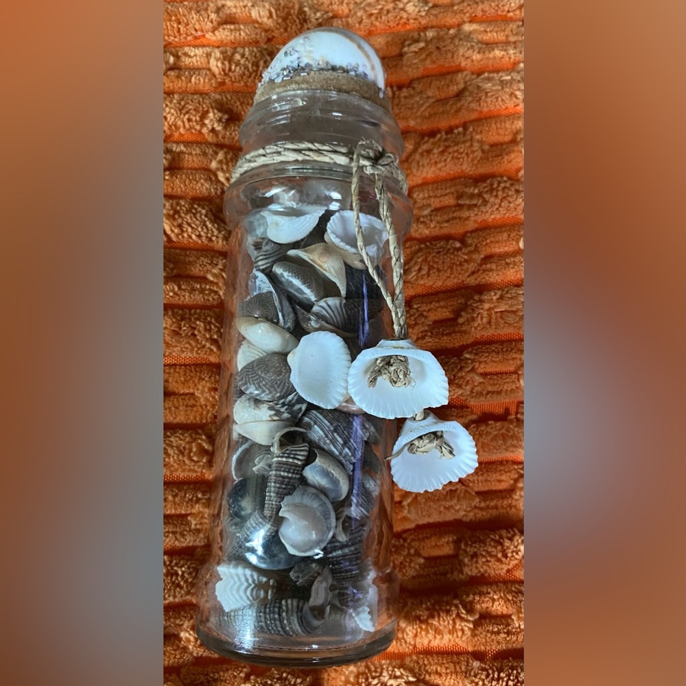 Sea shell decor